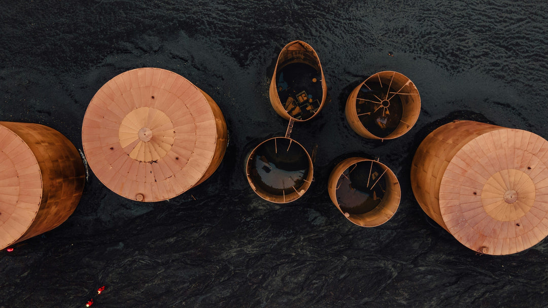 Ebony Wood