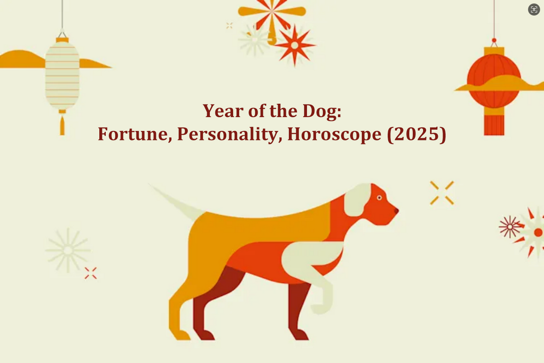 Year of the Dog: Fortune, Personality, Horoscope (2025)